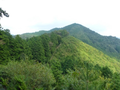 画像37